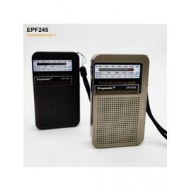 RADIO ECOPOWER EP-F245 FM/AM/SW/USB-C