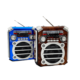 RADIO ECOPOWER EP-F91B BT/USB/SD/FM/AM