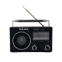 RADIO ECOPOWER EP-F100 BT